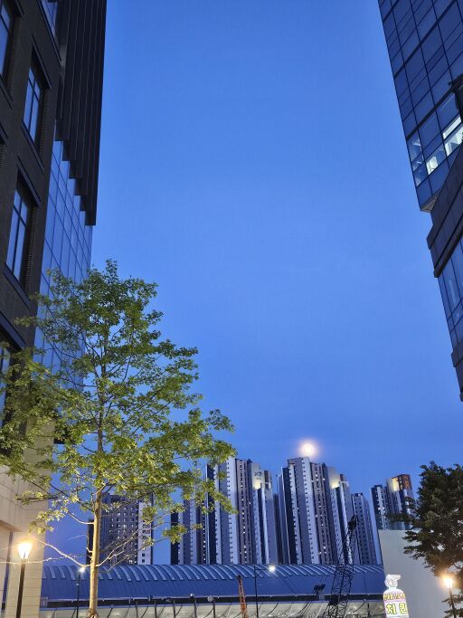 도시의 밤