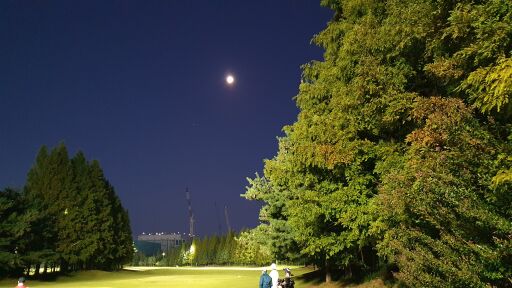 달 밝은 날의 야간 골프장