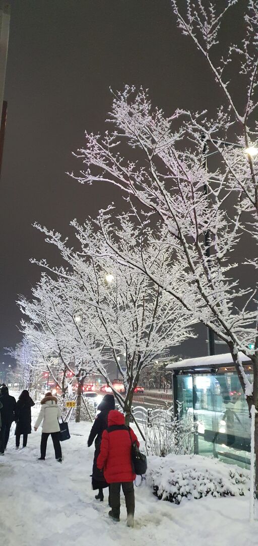 눈 덮인 길을 걸어가는 사람들