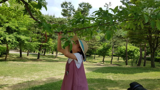 꽃냄새 맡고있는 어린 소녀