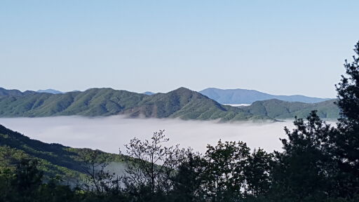 산에서 보는 운무