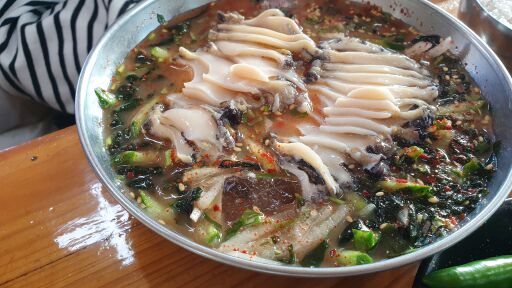 제주 공천포식당 전복물회