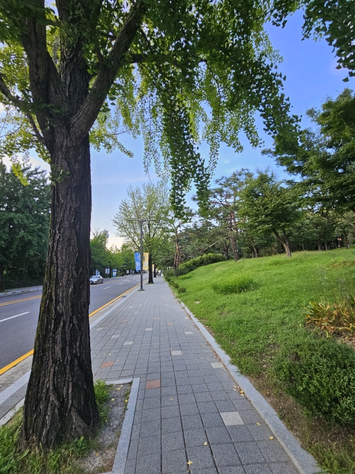 도심 속 공원 거리