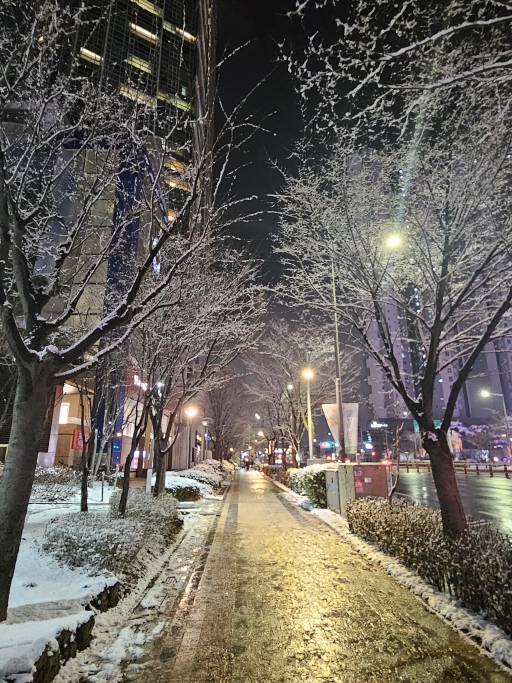밤의 도시 보도