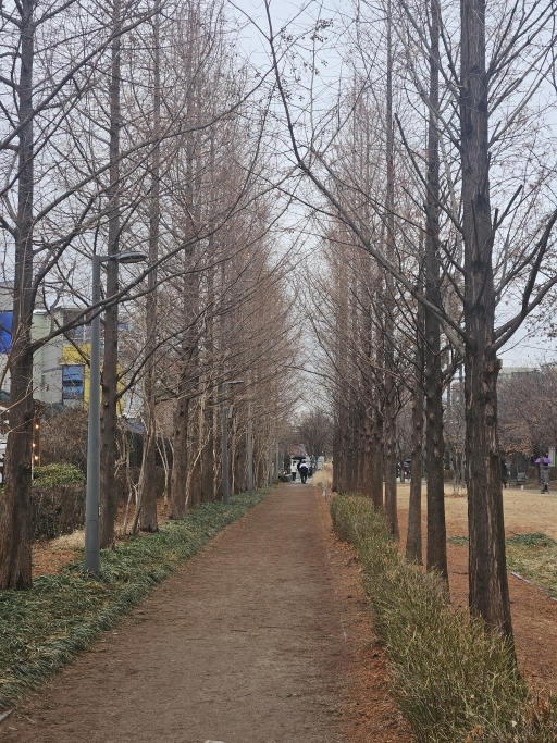 나무길