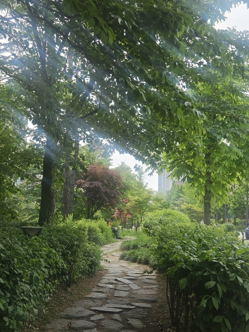 공원 속 돌길