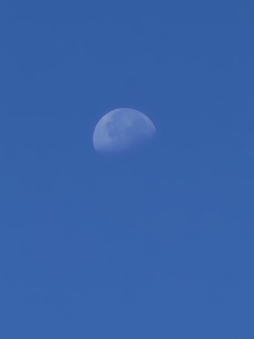밝은 하늘 위 달